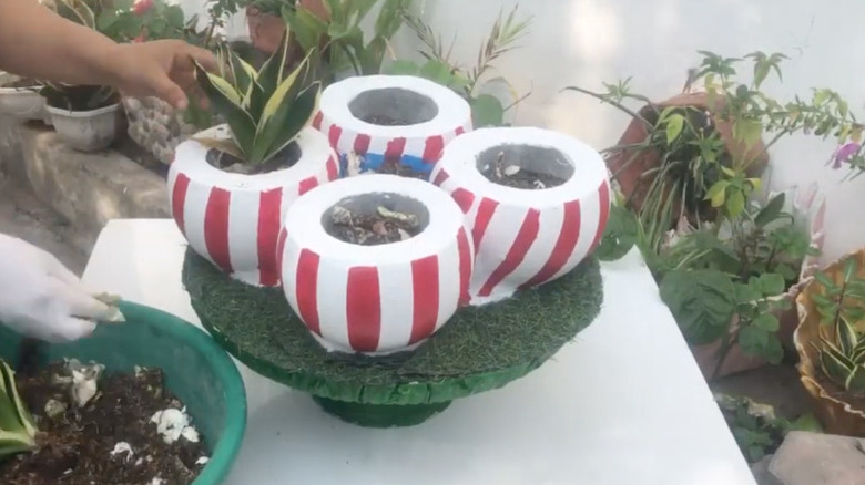 Planters made from old plastic balls