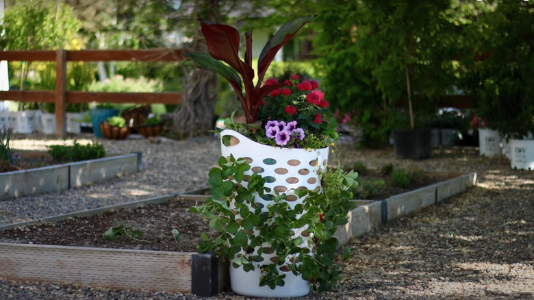 laundry basket strawberry planter