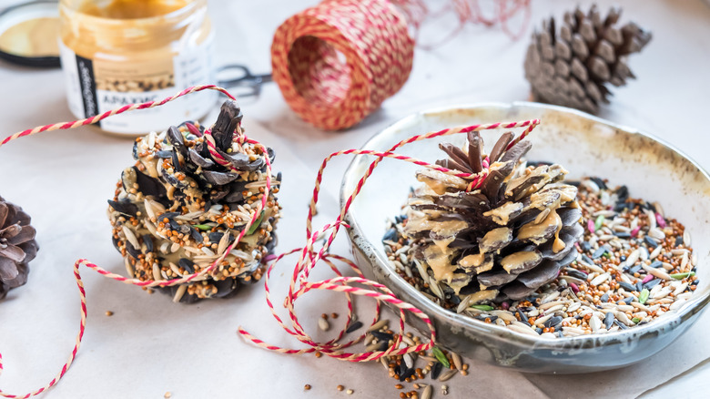 A table with supplies for making bird feeders with pinecones, string, and seeds