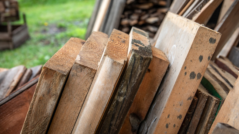 Assorted boards in different sizes and wood varieties