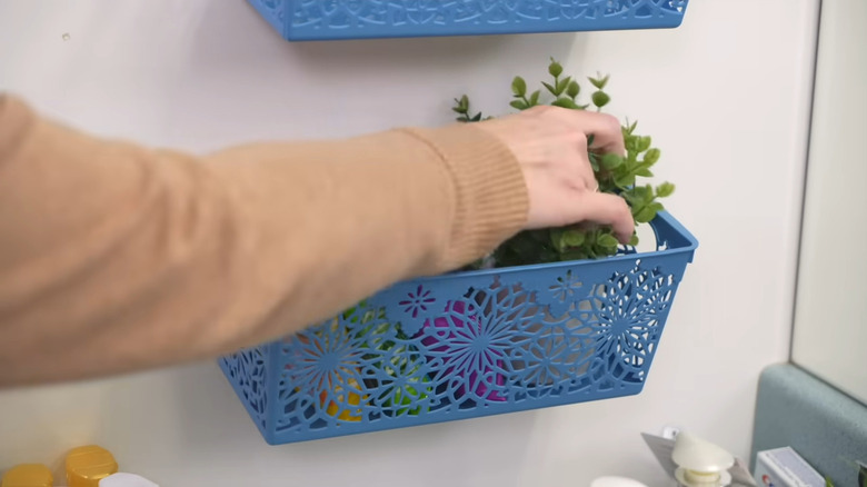A person placing a small plant in a mounted blue basket on the wall
