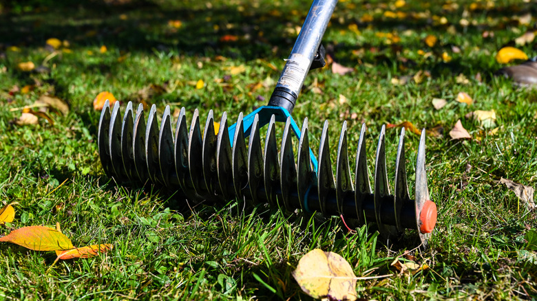 Close up of dethatching rake