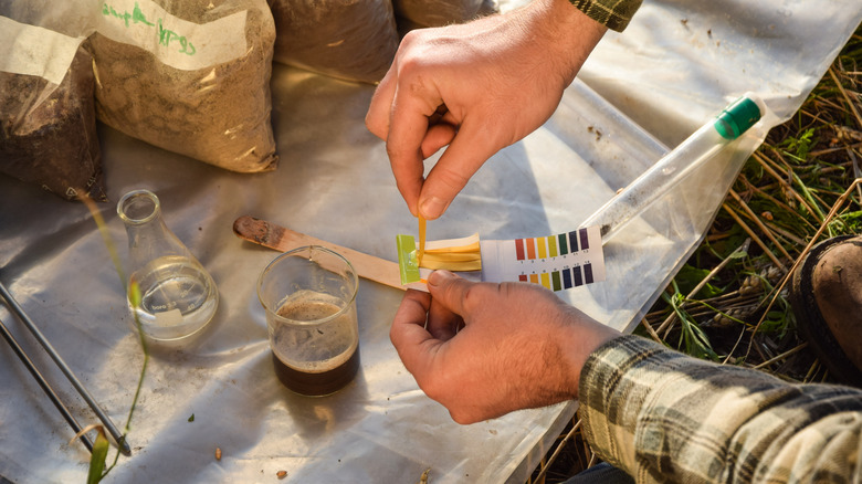 Person using soil test kit