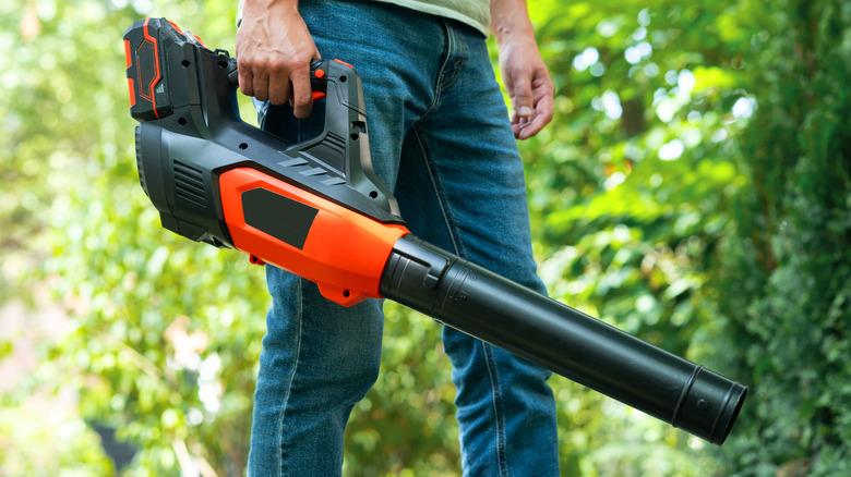 Man holding leaf blower