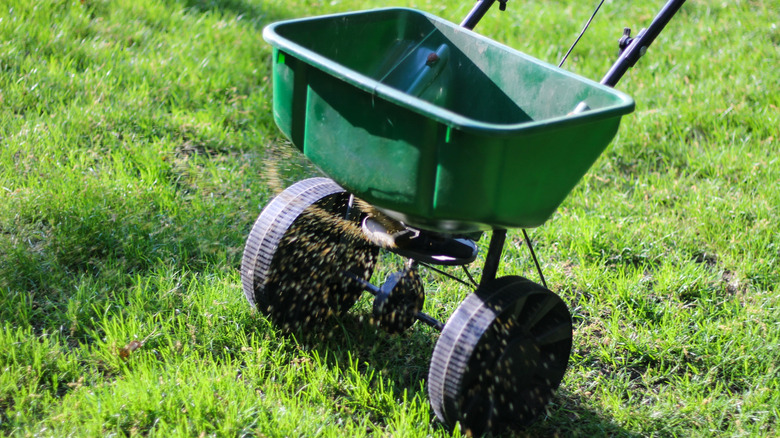 Close-up of a green broadcast seed or fertilizer spreader in a yard