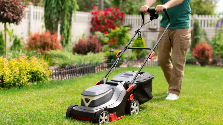 Man lowing lawn