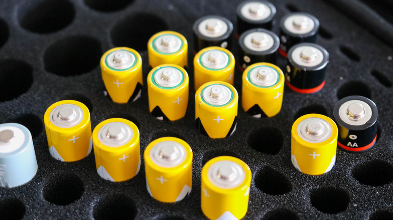 Batteries in a black foam holder