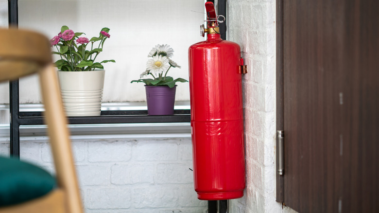 A red fire extinguisher on a wall near plants