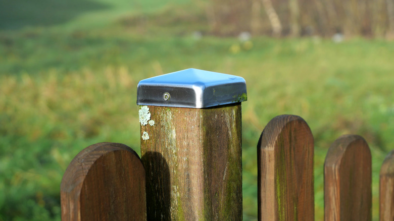 Metal fence post cap on fence