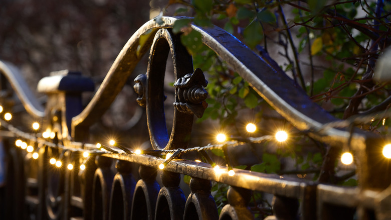 Christmas lights on an iron fence