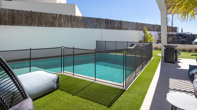A sunny backyard featuring a rectangular swimming pool with a child safety fence