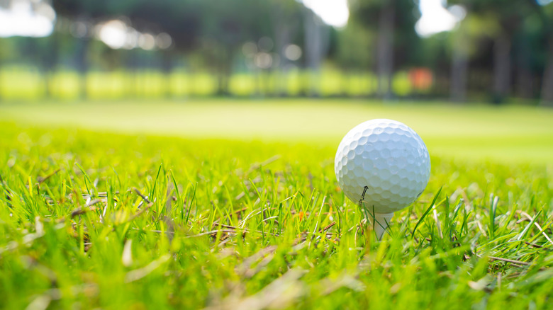 Golf ball on a green golf course