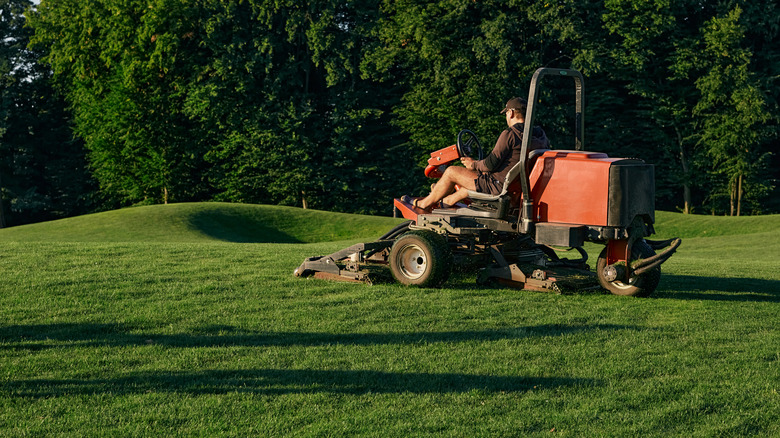 Golf course maintenance worker, cutting green grass