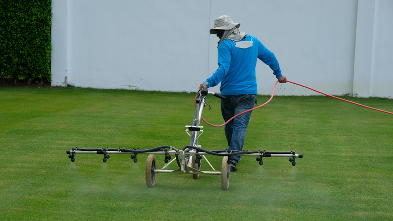 Worker spraying pesticide onto green lawn outdoors