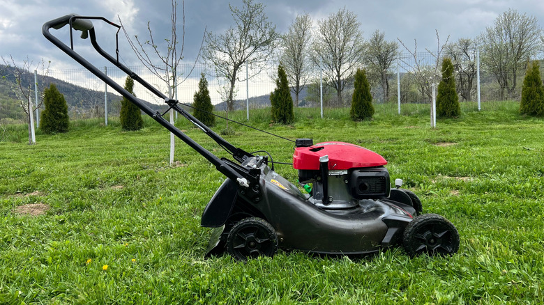 A gas-powered mower on an expanse of grass