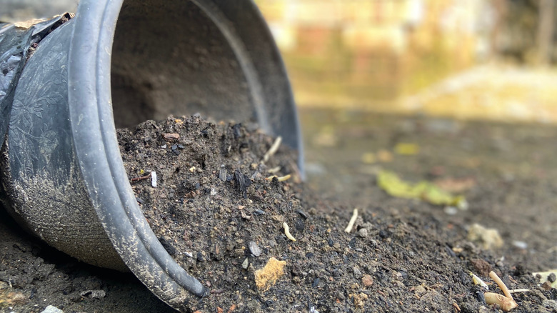 An old pot tipped over with old potting soil spilling out of it on to the ground.
