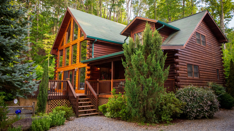 log cabin in the forest