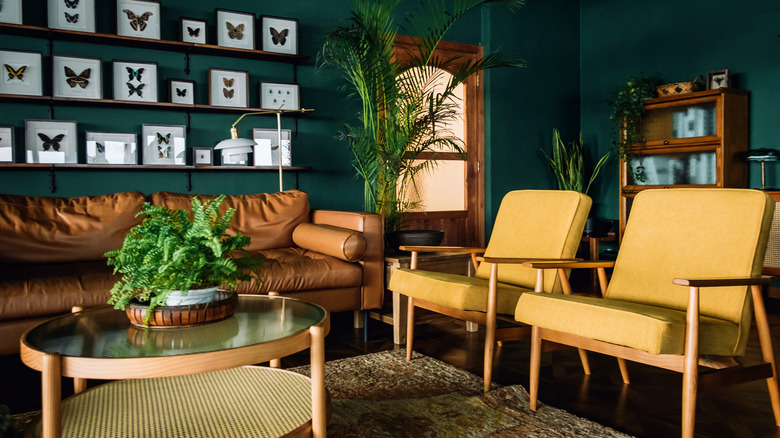 A stylish living room interior with brown and yellow coloured furniture and wooden elements with dark green coloured wall. Decorated with plants and butterfly specimen