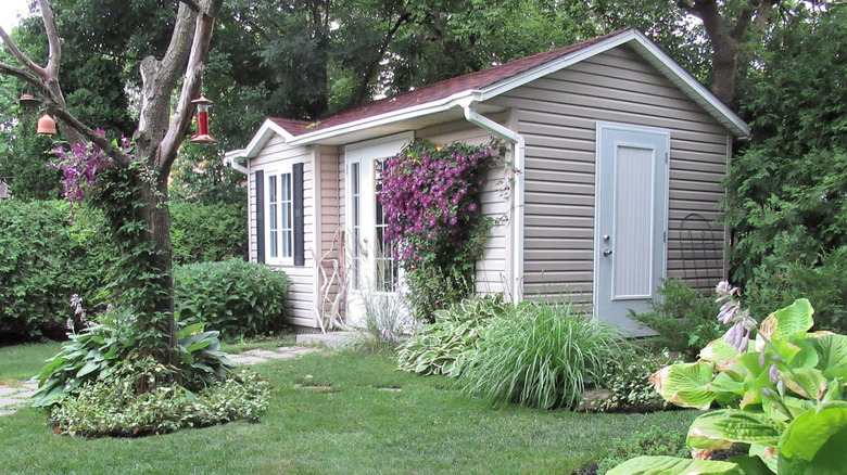 large shed in corner of backyard