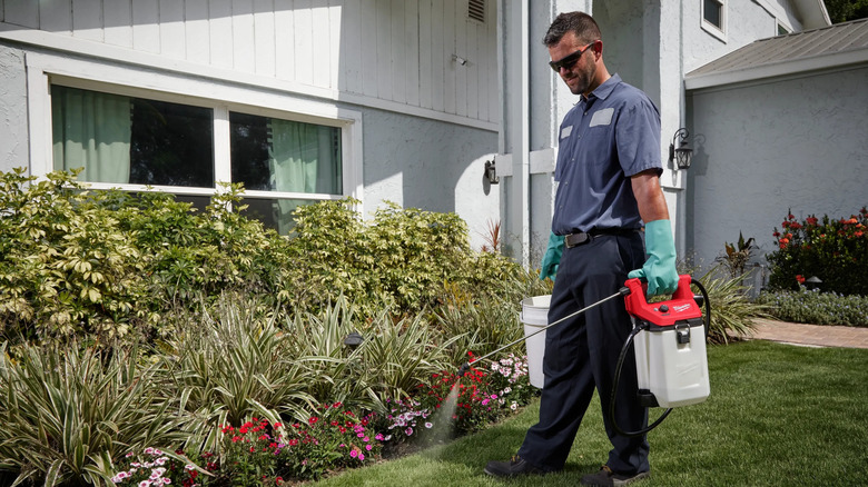 A gardener spraying a garden bed with Milwaukee's M12 Handheld Sprayer Kit