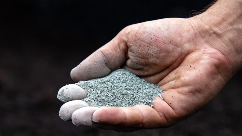 A Man holding rock dust