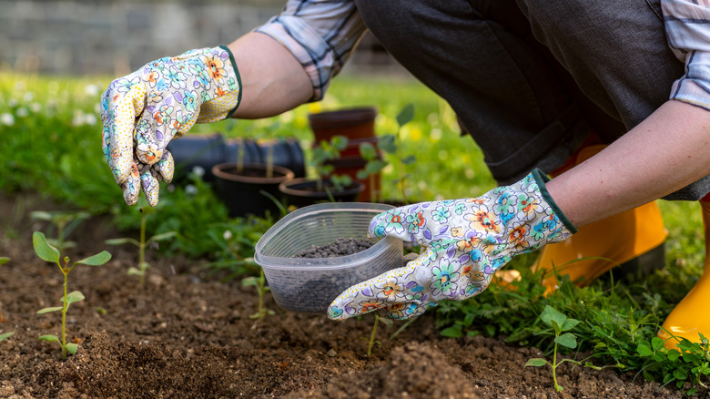 A woman preparing soil for planting