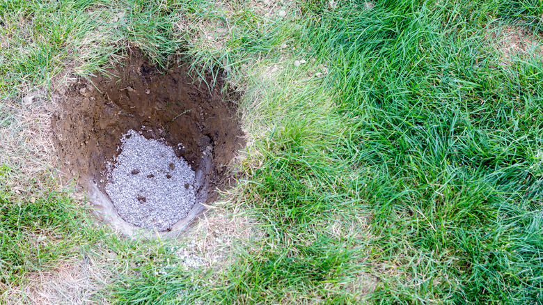 Gypsum added to a newly dug hole