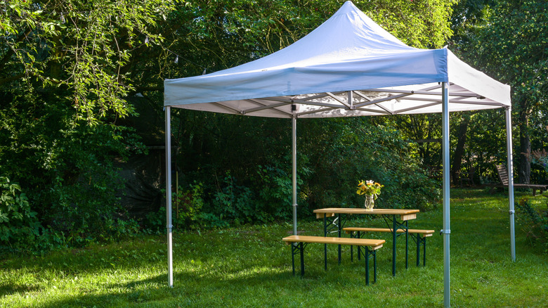 A pop-up gazebo shelter in a garden