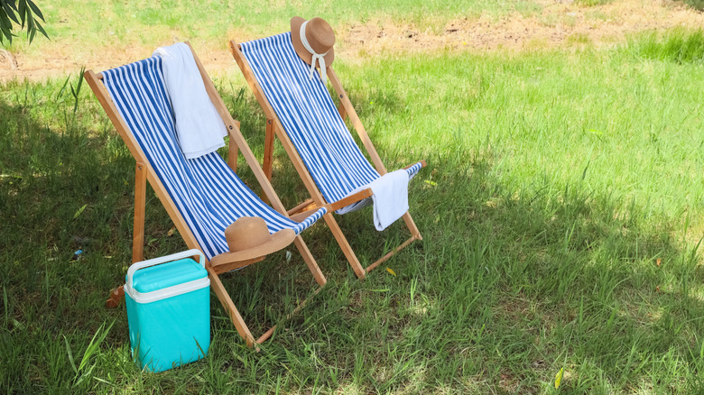 Two deck chairs positioned in the shade of a tree