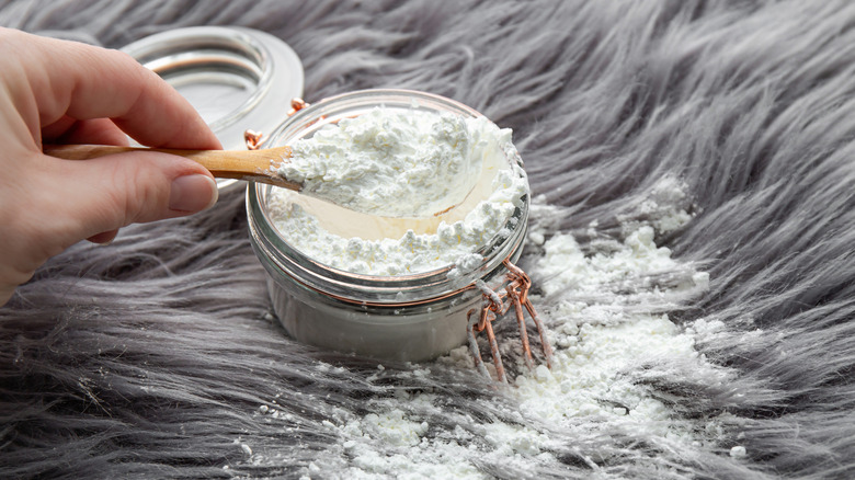 A hand putting cornstarch on shaggy carpet