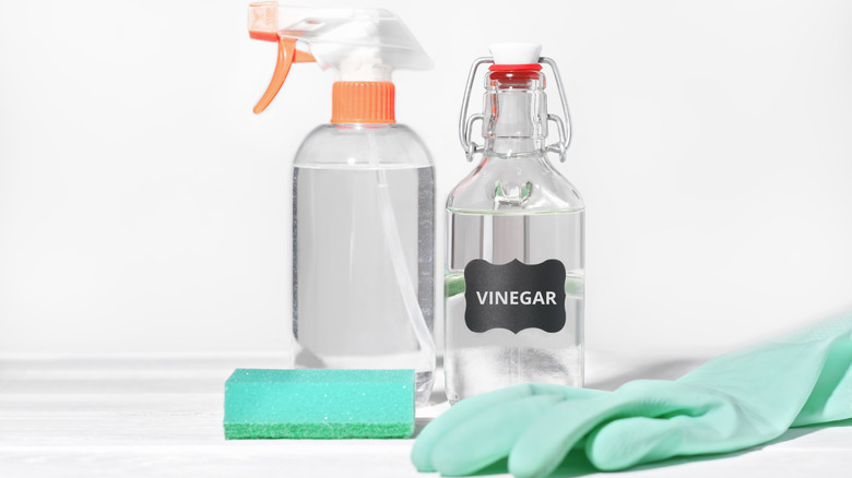 White vinegar in a bottle beside spray bottle with cleaning solution, sponge, and gloves