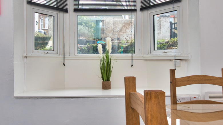 Bay windows with a plant in the middle