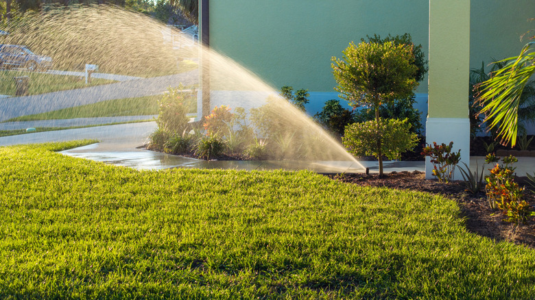 Lawn being watered
