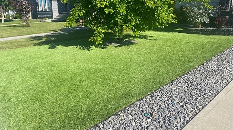 Front lawn with artificial turf and a pebble border in the sunshine