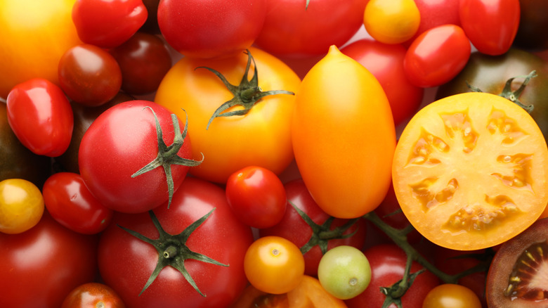 A close-up showing different types of tomatoes