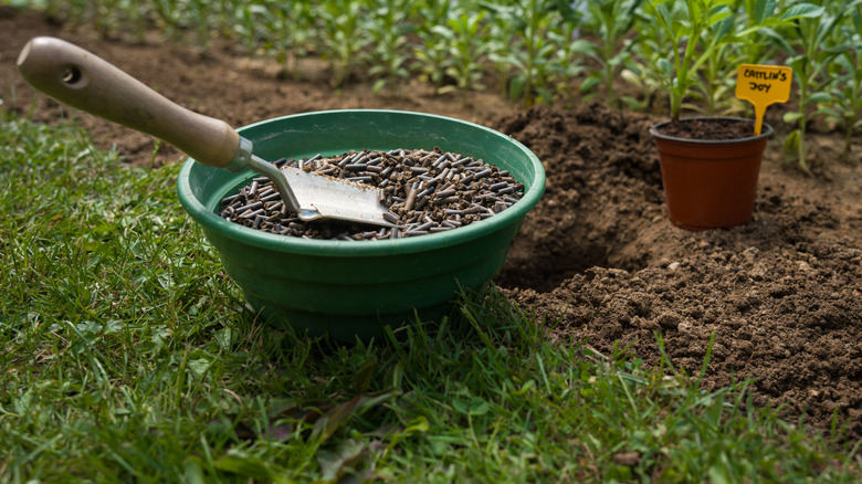 A small bucket and trowel with a food mixture for soil, next to a garden bed