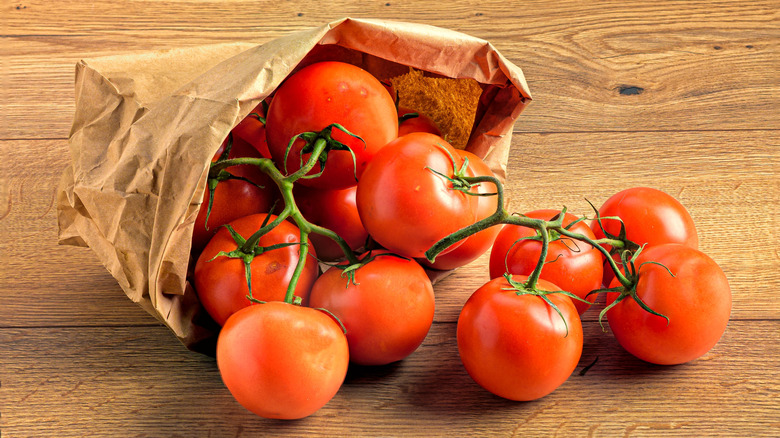 Fresh tomatoes, on the vine, in a paper bag