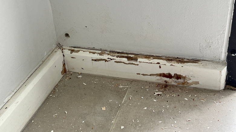 A portion of a baseboard on a short wall with chipped paint.