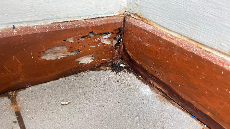 A wooden baseboard exhibiting signs of rot and decaly.
