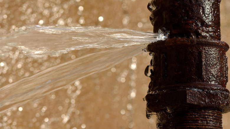 Water leaking out of a pipe joint