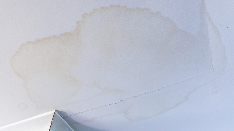 Water damage on a white roof