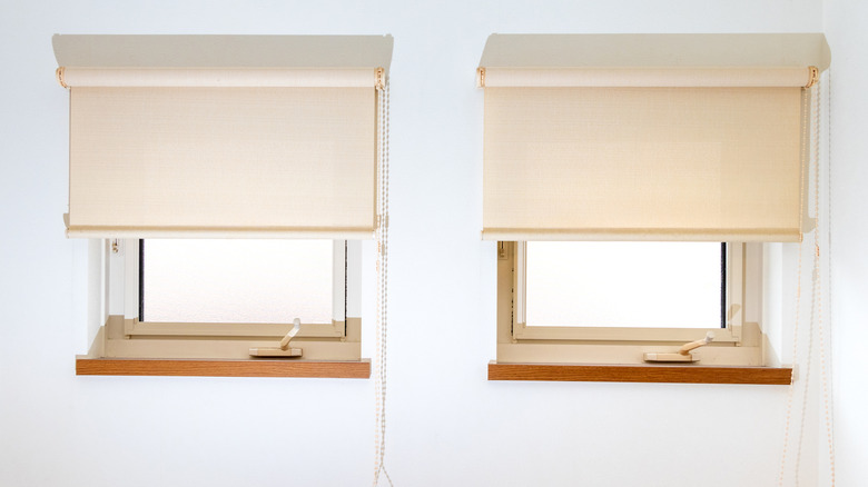 Two small square windows fitted with roller blinds