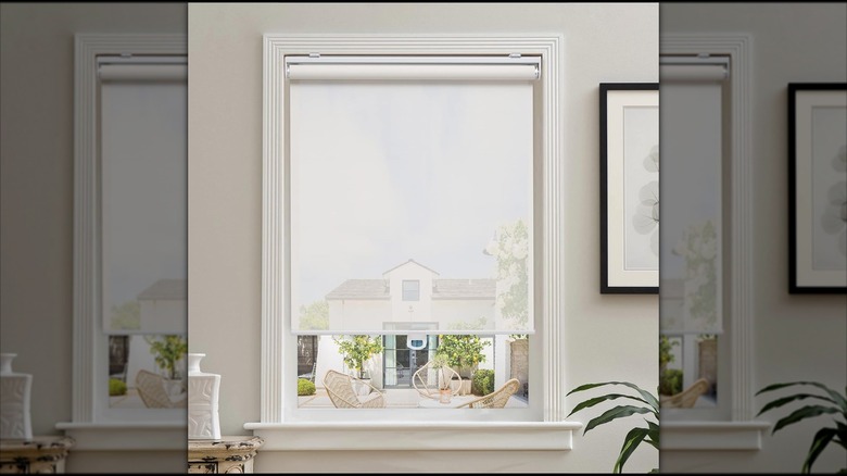 AOSKY's Light Filtering Roller Shades, filtering the sunlight but still showing the view beyond the window