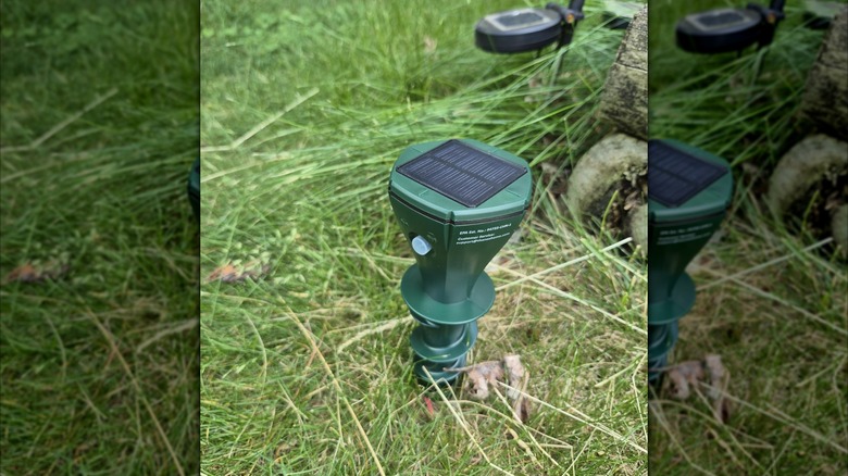 Peepst's Solar Powered Mole Repellent staked into a lawn