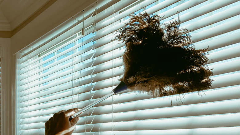 A person dusting the blinds