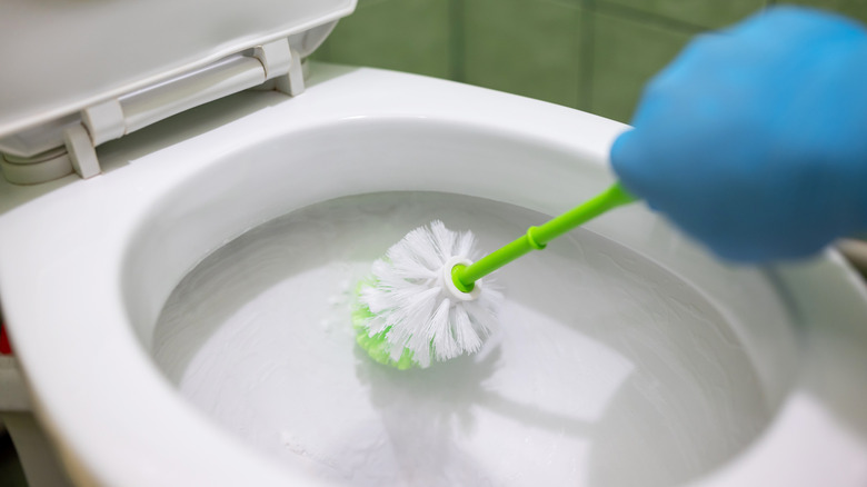 A person cleaning a toilet