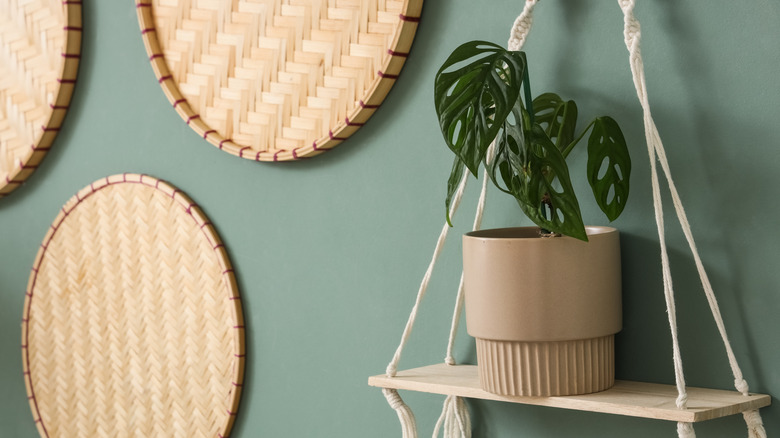 A hanging shelf supports a plant and forms part of a wall display