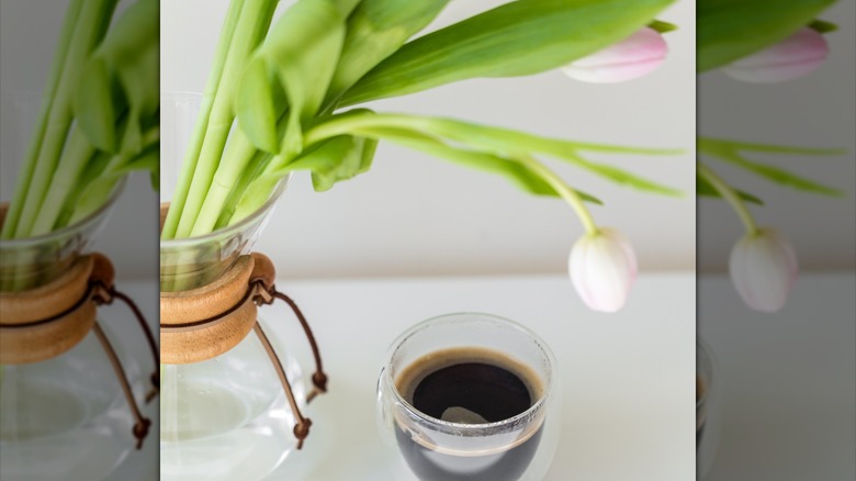 Chemex coffee maker with tulips