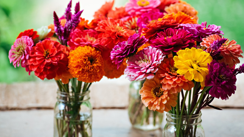 Mason jars filled with chrysanthemums