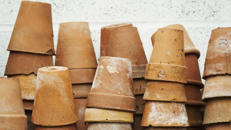 Stacks of terracotta houseplant pots